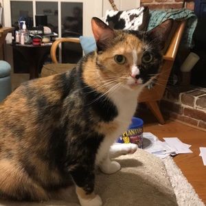 Meet your Posher, Tanya